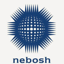 National Examination Board in Occupational Safety and Health (NEBOSH)