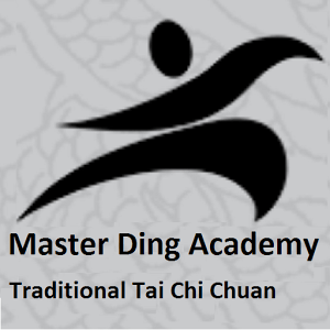Master Ding Academy Ireland