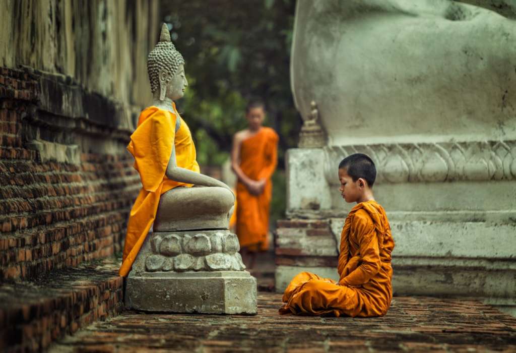 Buddhism Courses: Learn About Buddhism