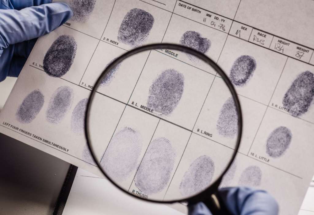 Criminology Courses: Everything You Need to Know