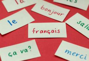 French Language Courses: Learn French