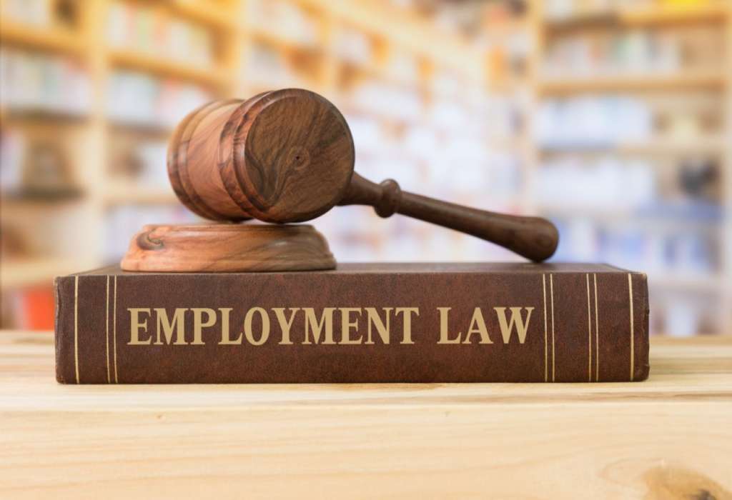 Employment Law Courses: Learn More About Employment Law