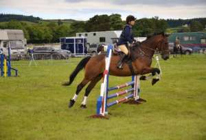 Horse Riding Lessons: Learn & Become a Horse Rider