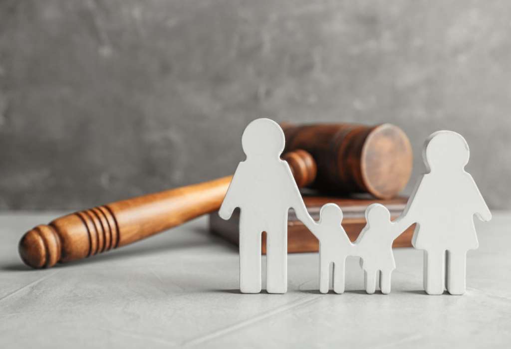 Learn Family Law: Learn By Doing a Family Law Course