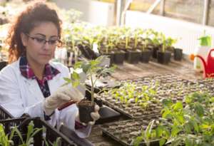 Horticulture Courses: Learn More About Horticulture