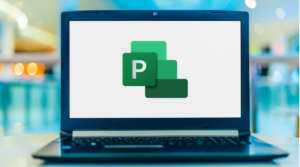 Microsoft Project Courses