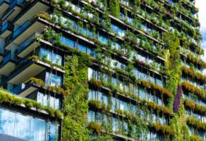 Building Sustainability Courses: Learn to Construct Sustainable Buildings