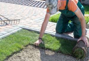 Garden Construction Courses: Learn About Garden Construction