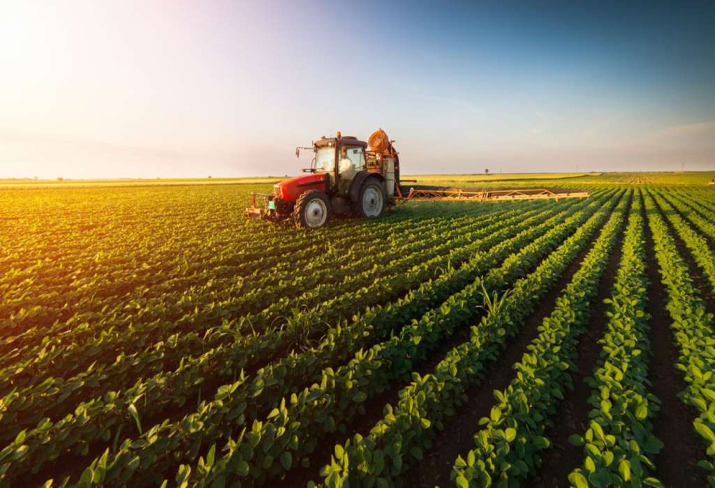 Courses in Agricultural Studies: Learn More About Agriculture